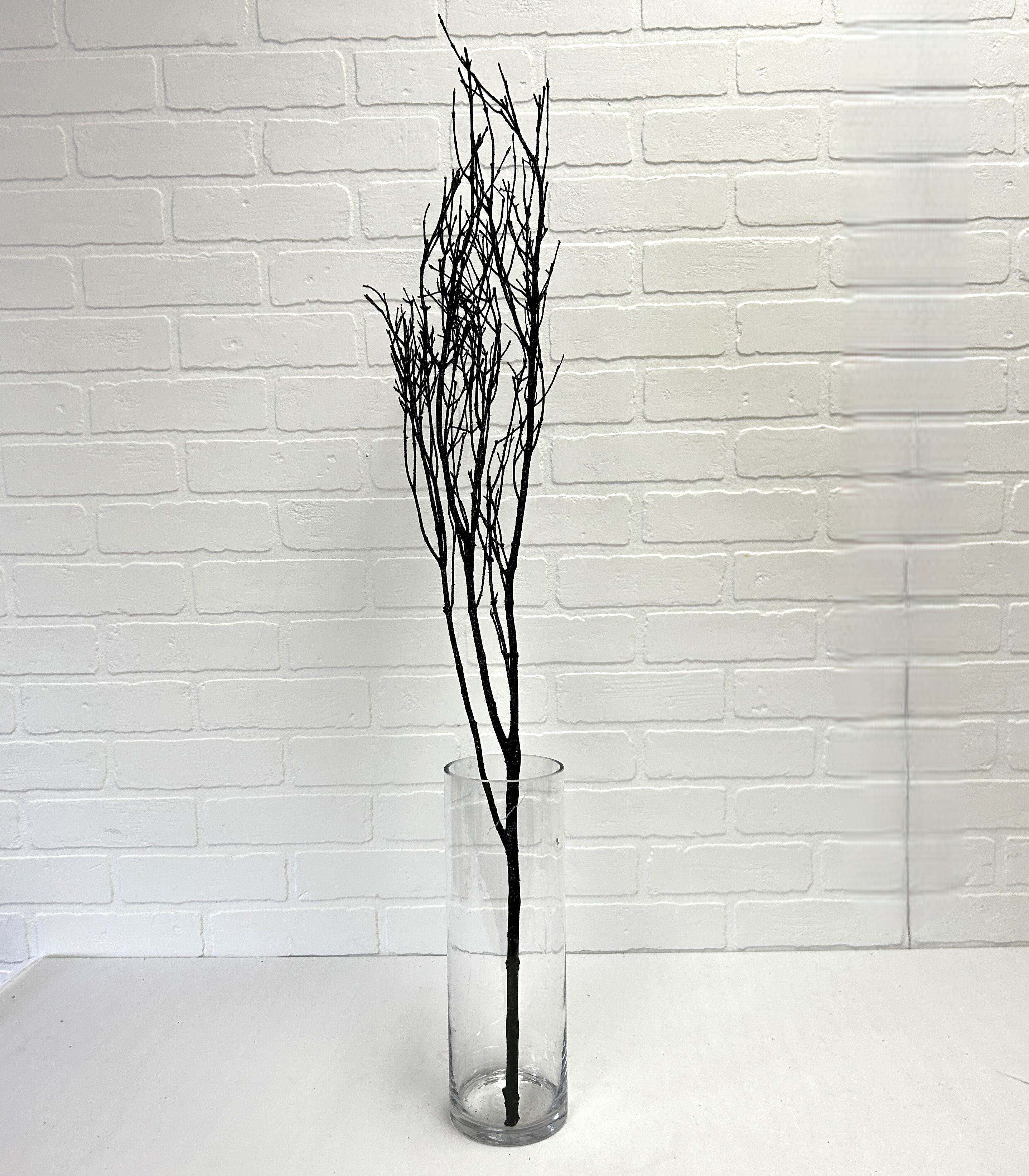 BRANCHES NOIR BRILLANTES