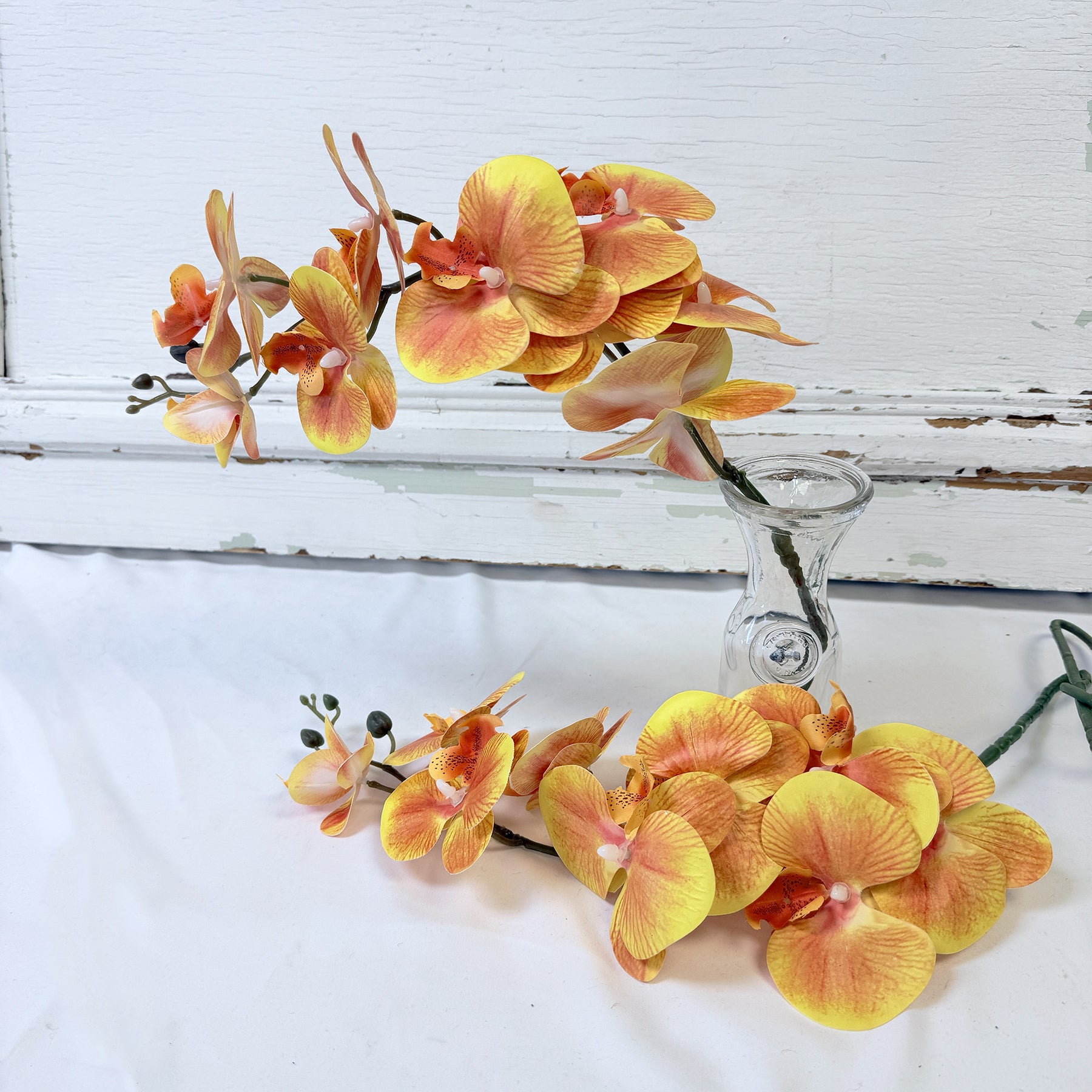 ORCHIDÉE JAUNE-ORANGE