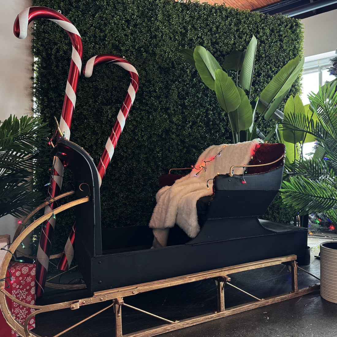 SLEIGH NOIR ET OR