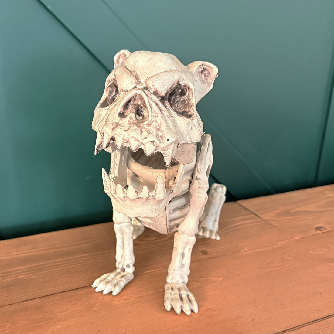 CHIEN SQUELETTE