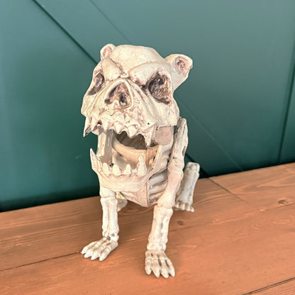 CHIEN SQUELETTE