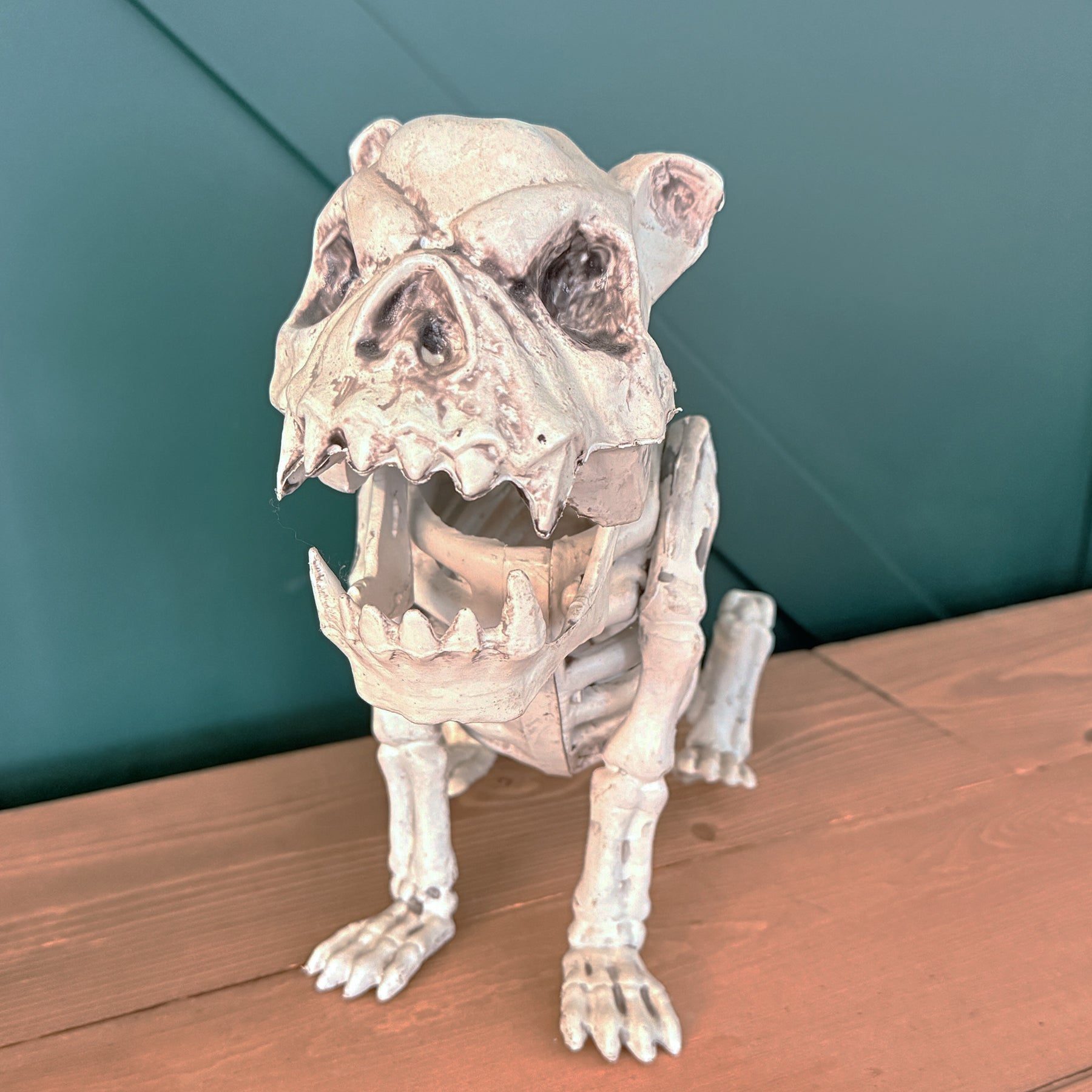 CHIEN SQUELETTE