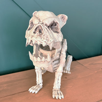 CHIEN SQUELETTE