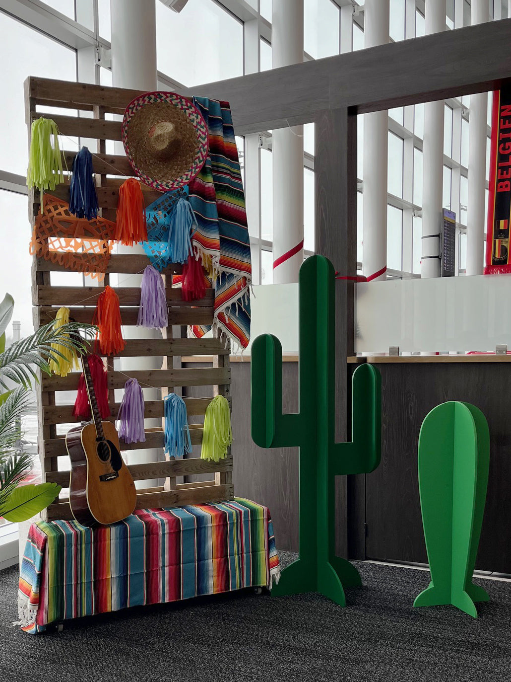 CACTUS ROND