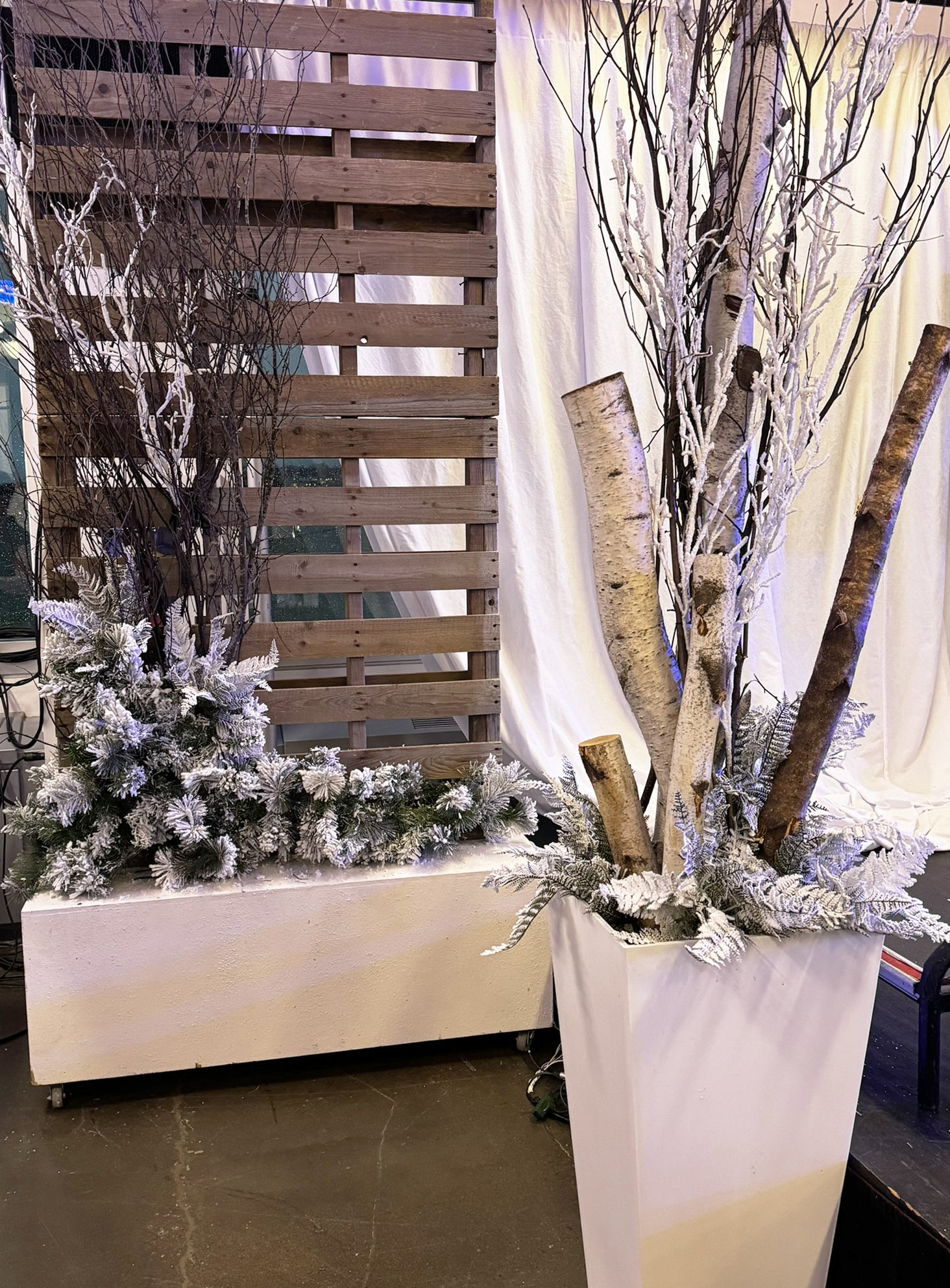 MONTAGE DÉCORATIF DE BOULEAUX