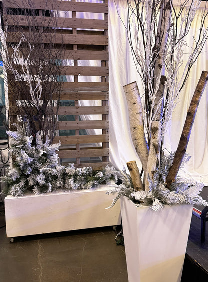 MONTAGE DÉCORATIF DE BOULEAUX