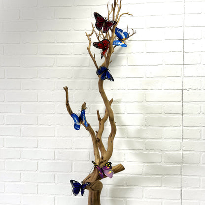 LOT DE PAPILLONS (7)