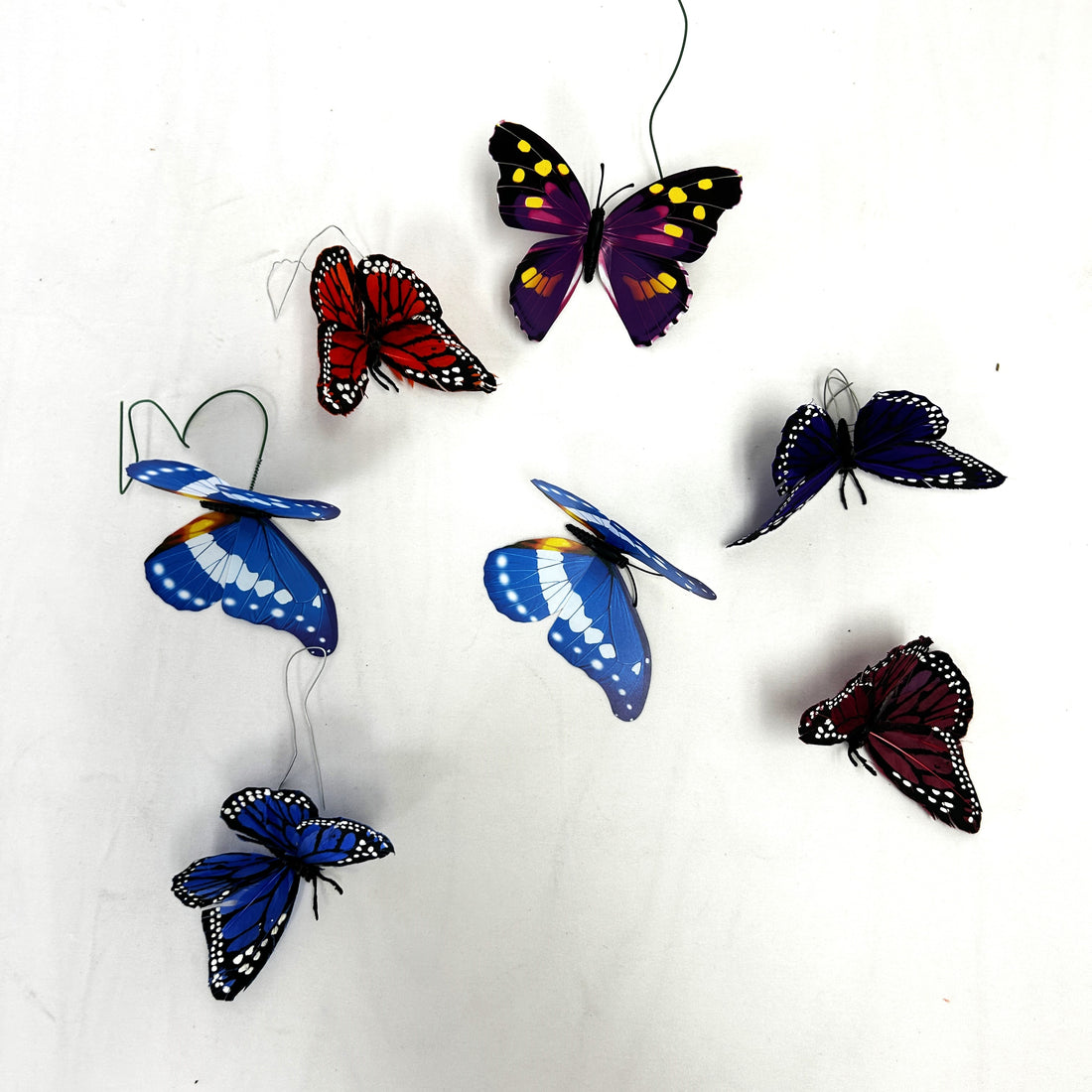 LOT DE PAPILLONS (7)