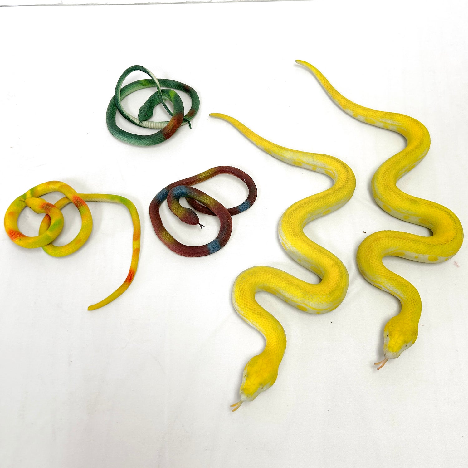 LOT DE SERPENTS (5)
