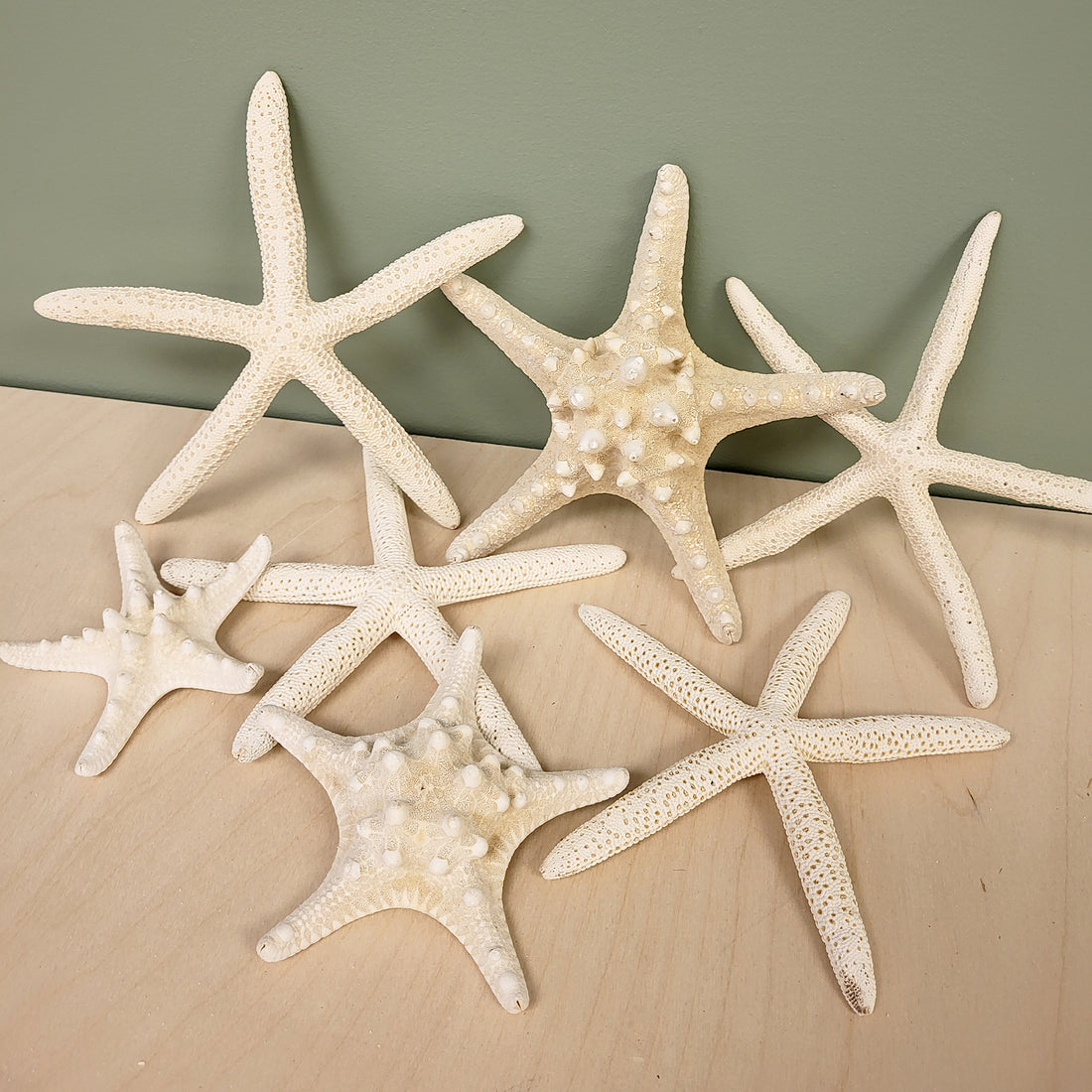 ÉTOILE DE MER