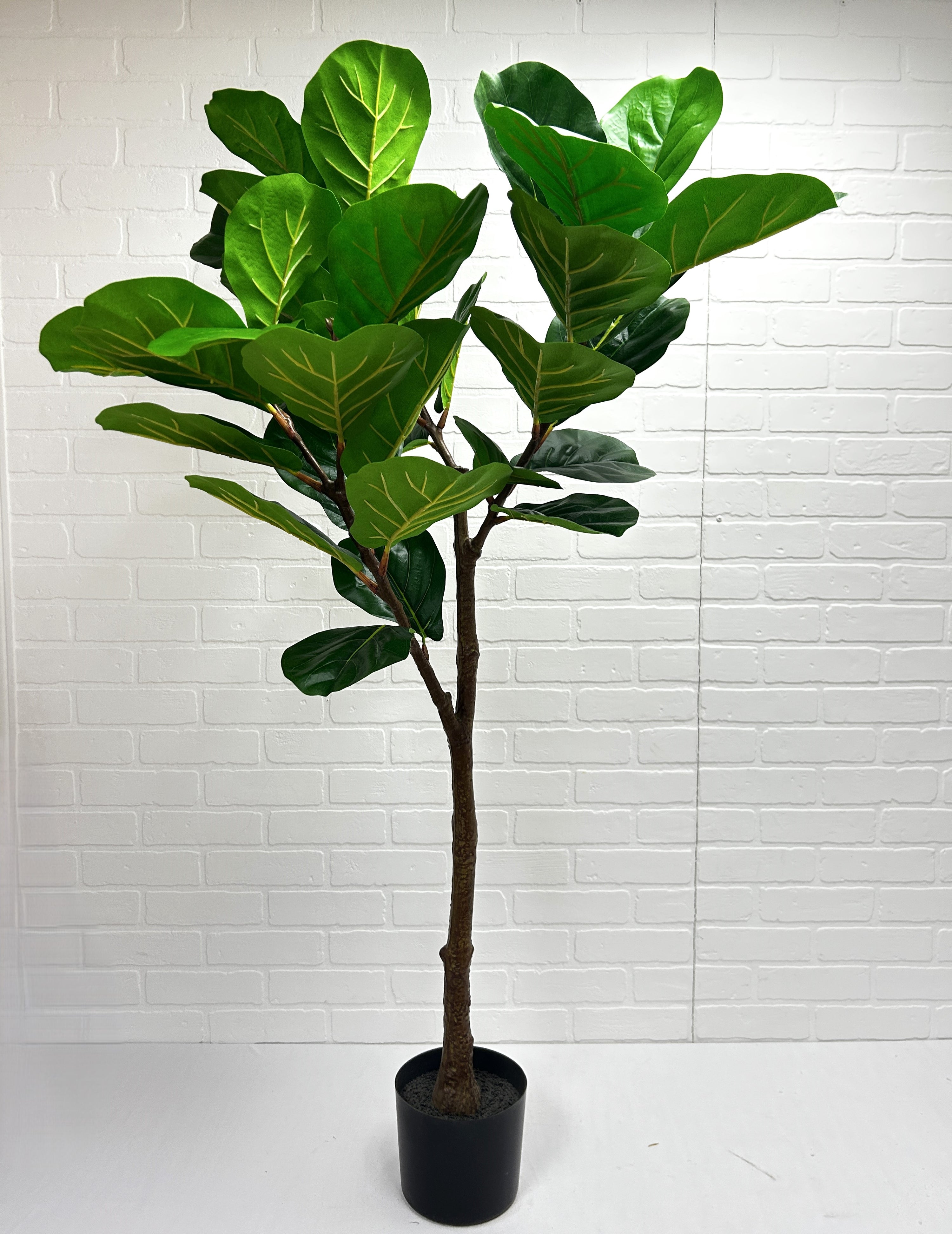 FICUS ARTIFICIEL