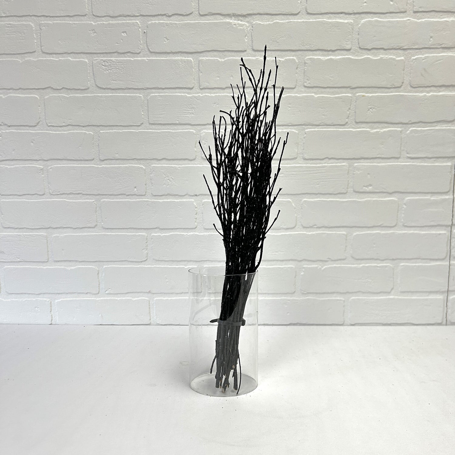 LOT DE PETITES BRANCHES NOIR BRILLANTES