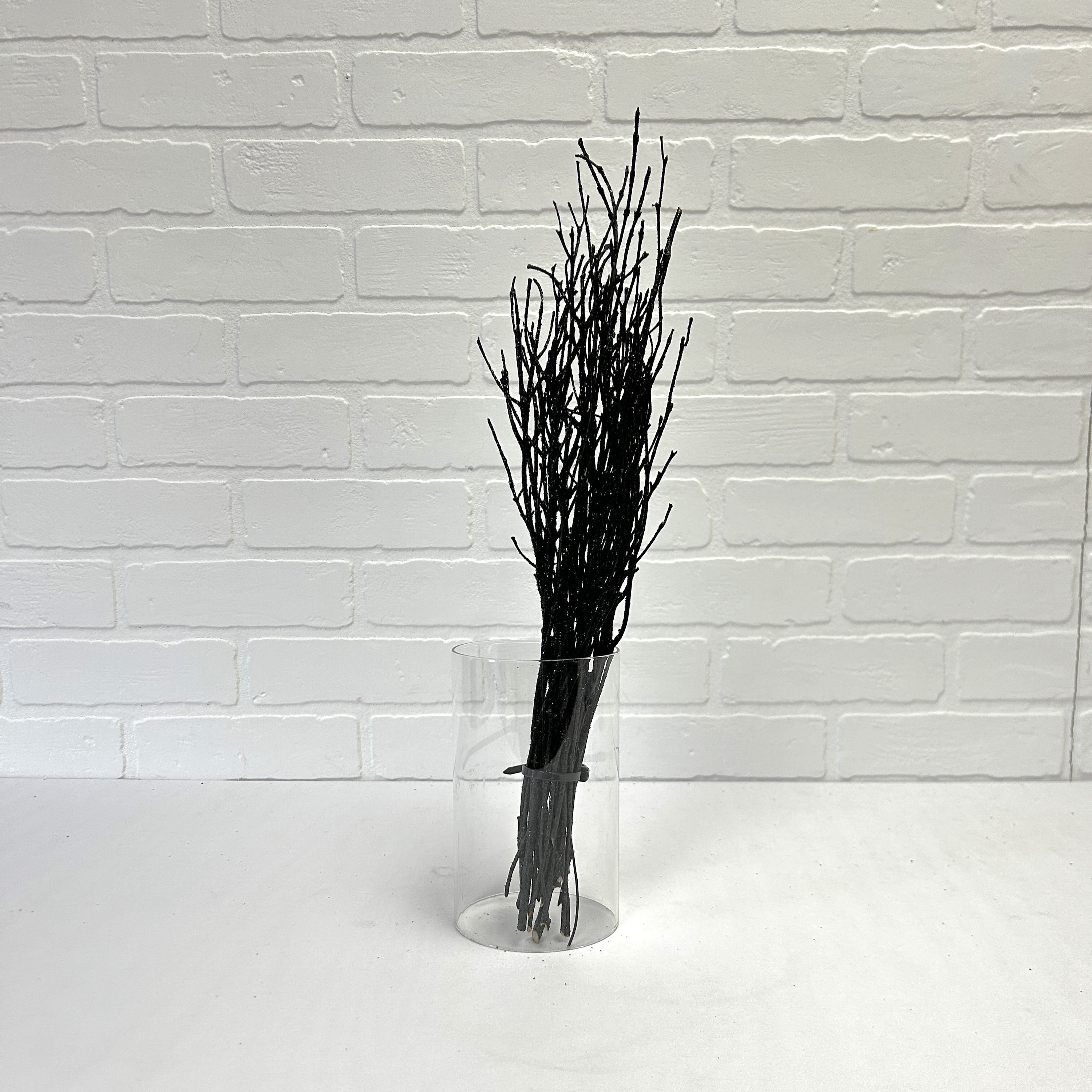 LOT DE PETITES BRANCHES NOIR BRILLANTES