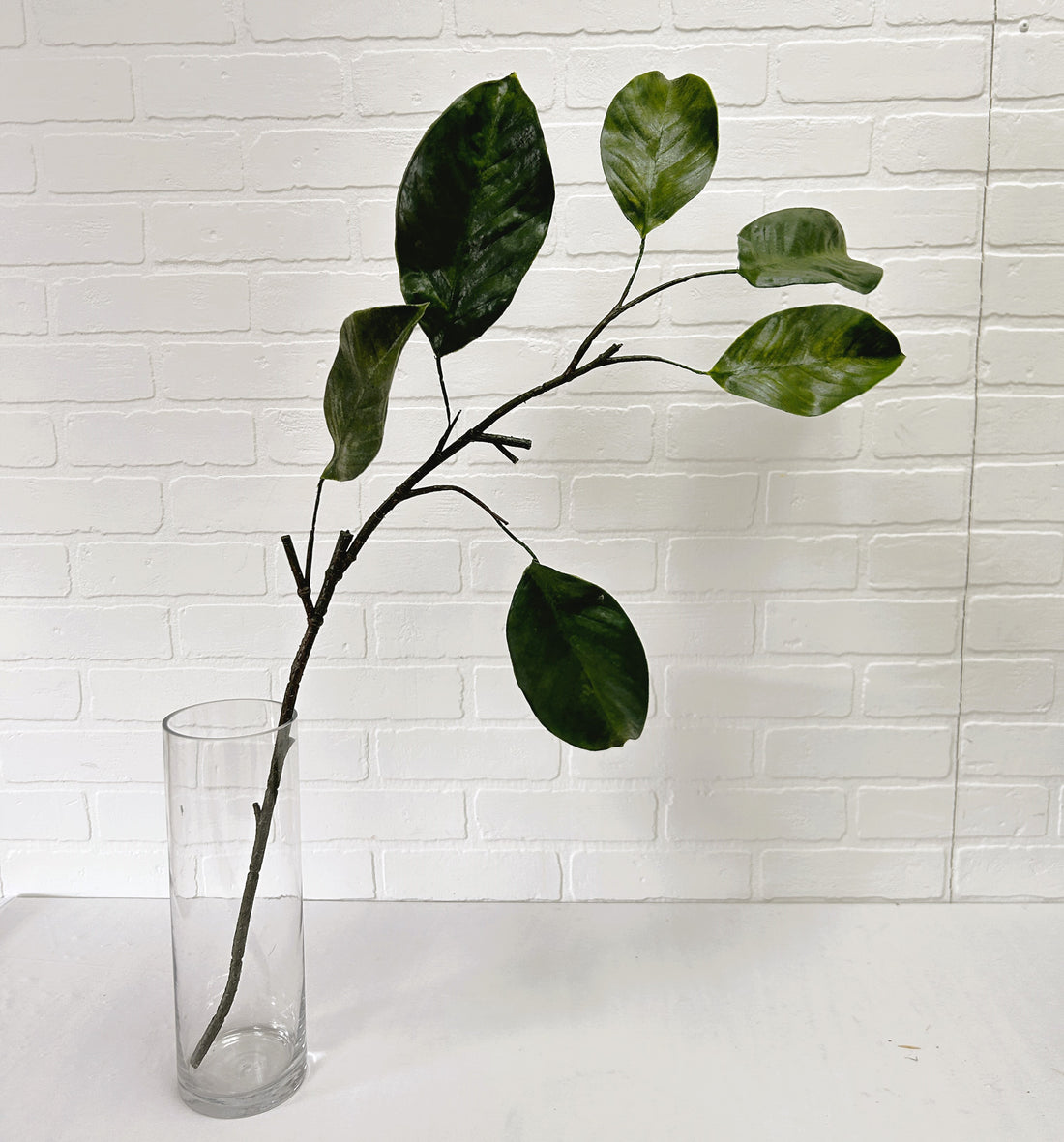 FEUILLAGE DE MAGNOLIA