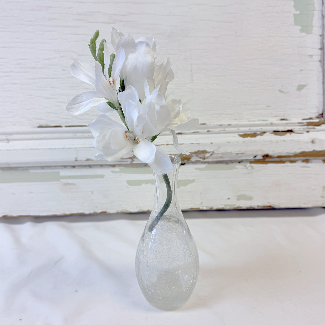 TIGE DE FREESIA BLANC