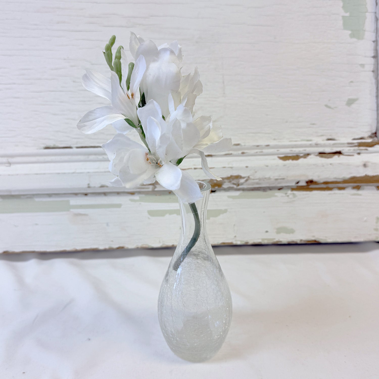 TIGE DE FREESIA BLANC