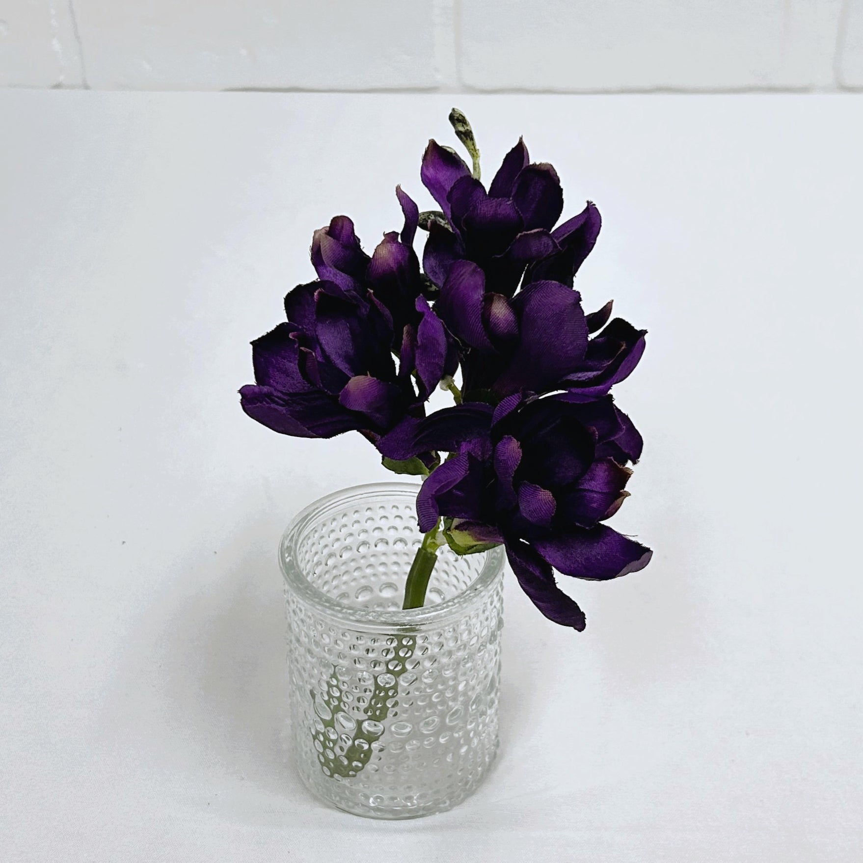 TIGE DE FREESIA MAUVE FONCÉ