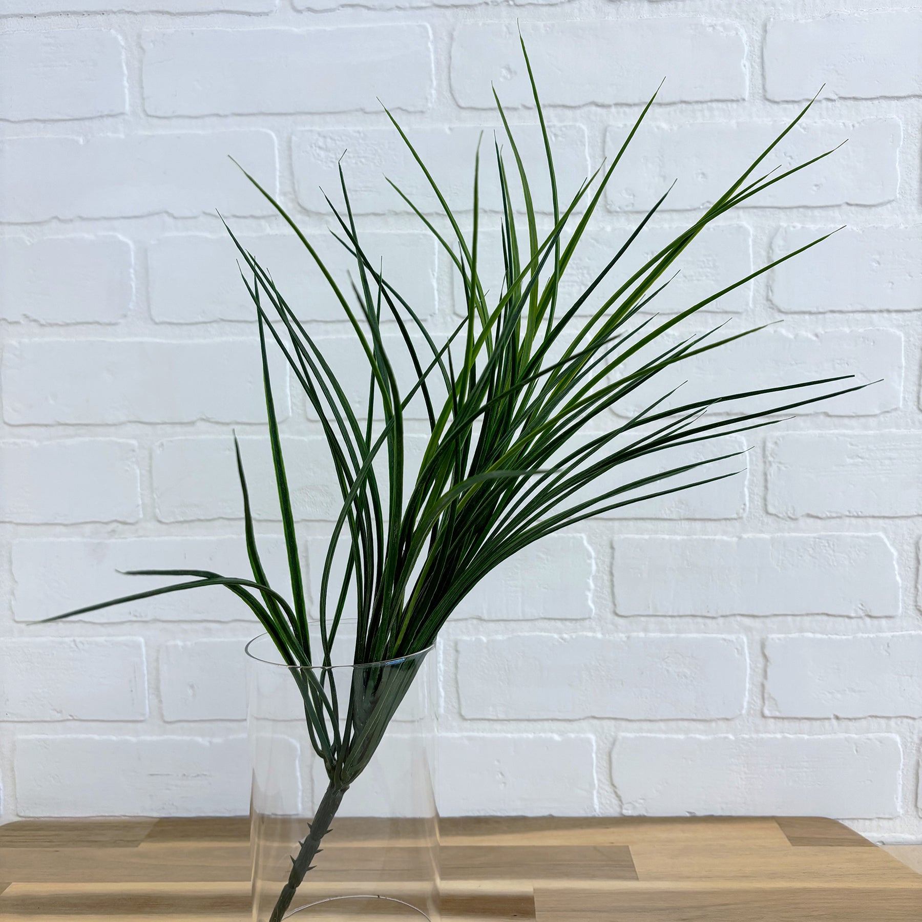 HERBE HAUTE VERT