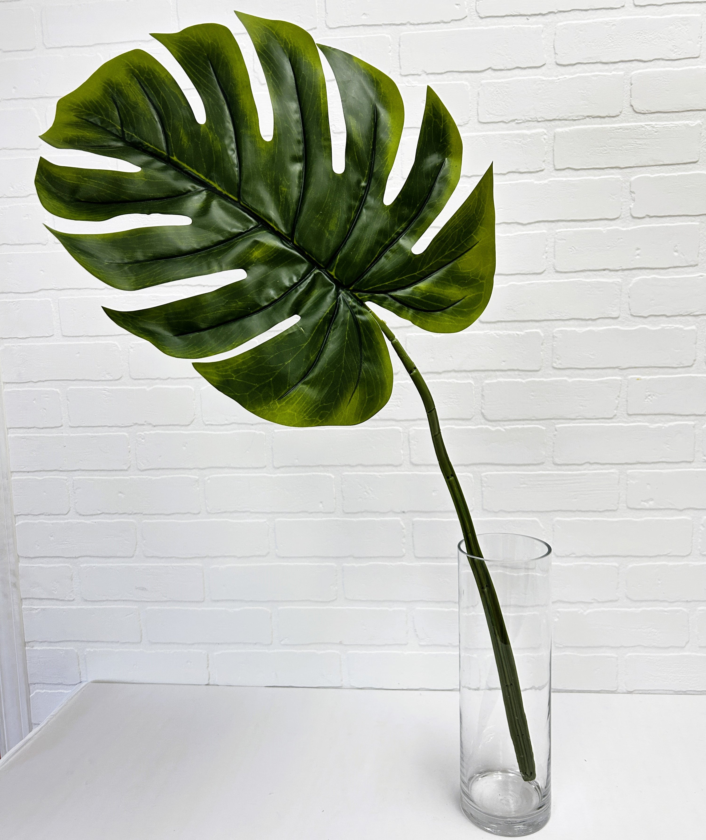 FEUILLE DE MONSTERA
