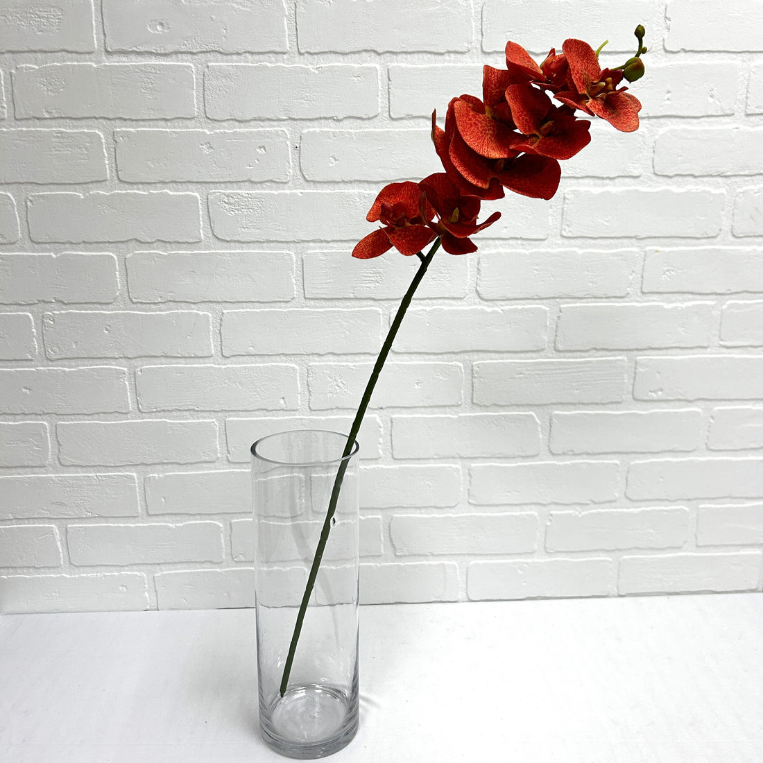 ORCHIDÉE ORANGE