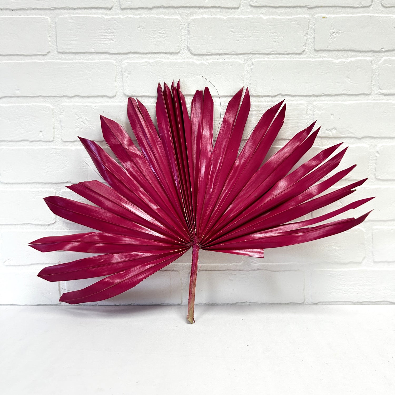 FEUILLE DE PALMIER SOLEIL ROSE