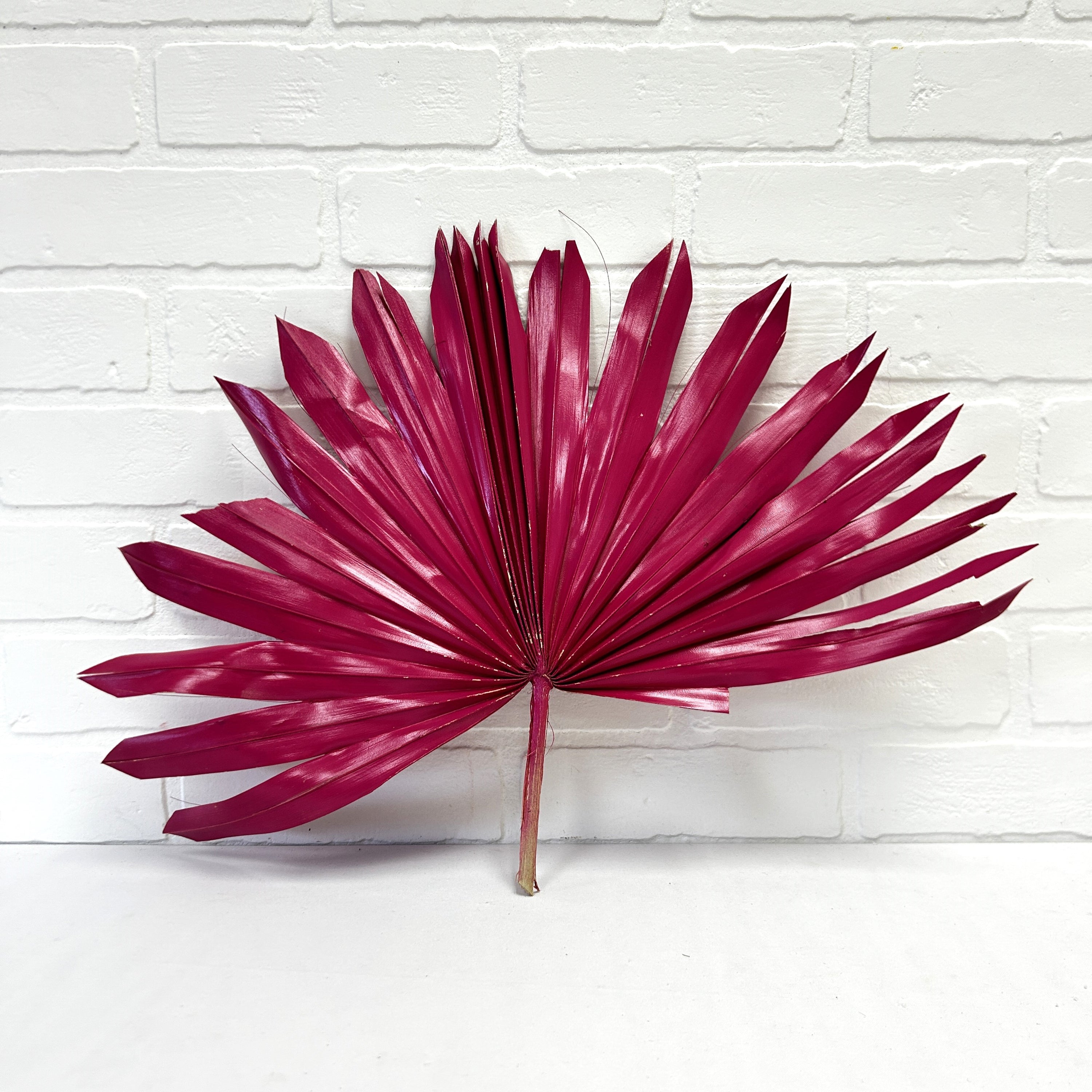 FEUILLE DE PALMIER SOLEIL ROSE