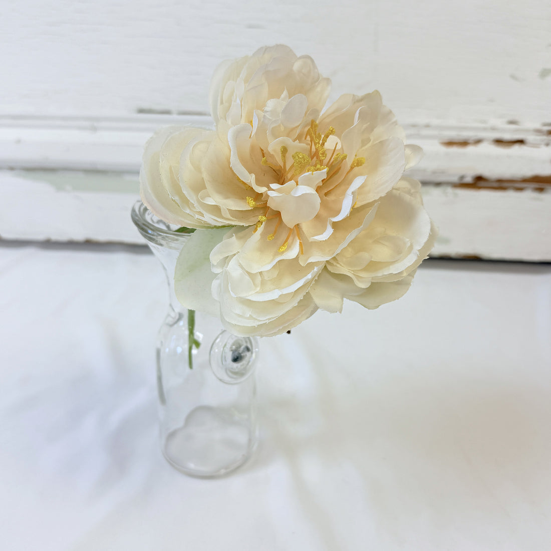 PIVOINE BLANCHE