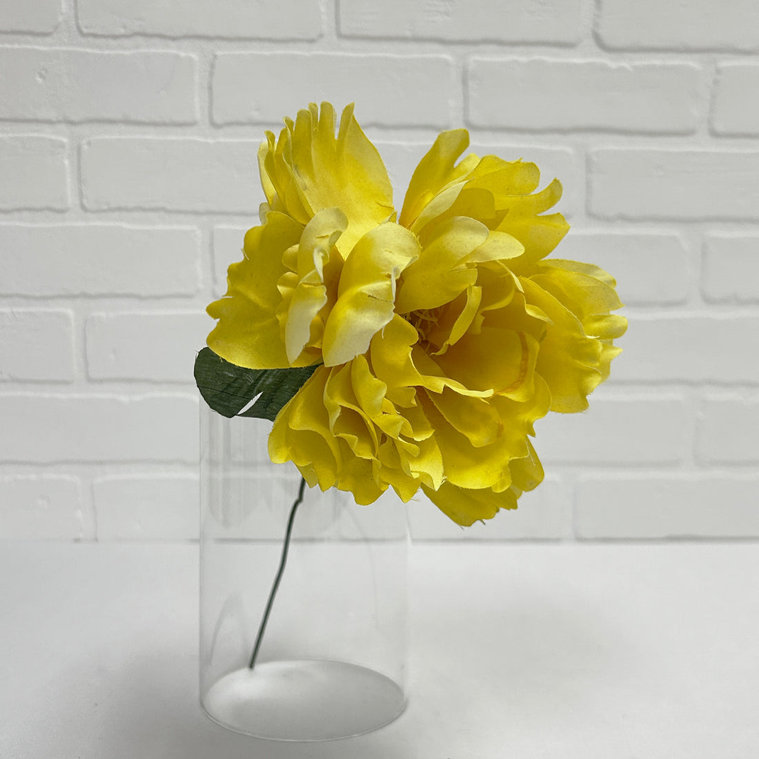 PIVOINE JAUNE