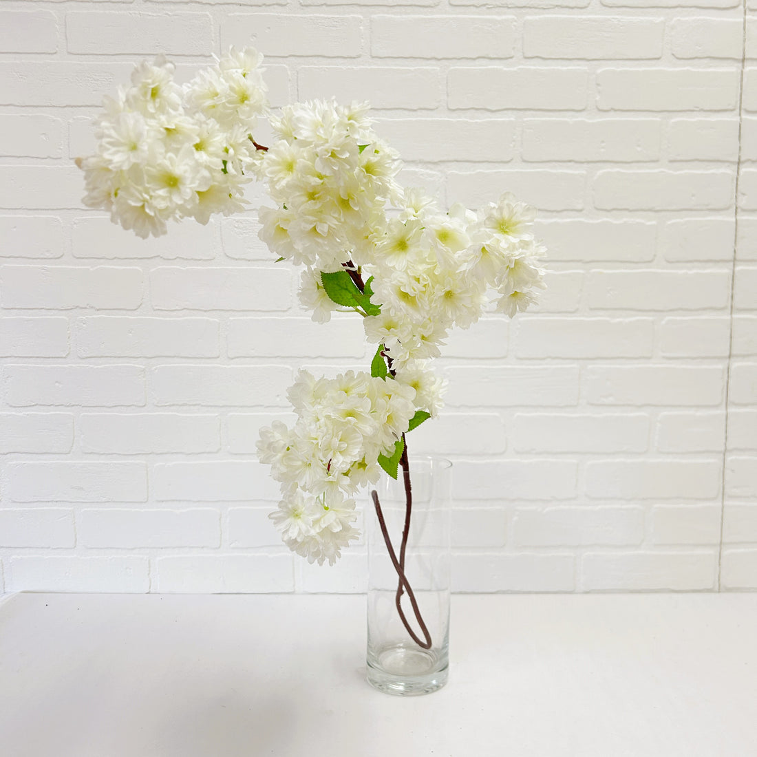 BRANCHE DE POMMETIER EN FLEUR