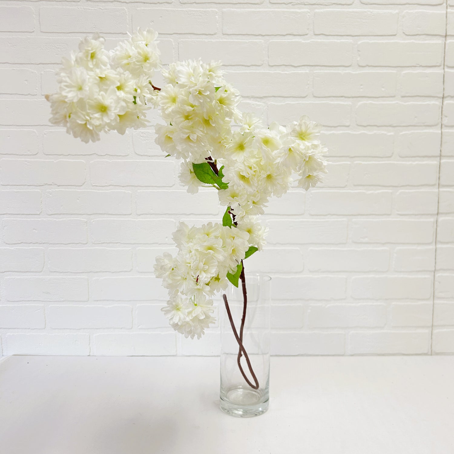 BRANCHE DE POMMETIER EN FLEUR