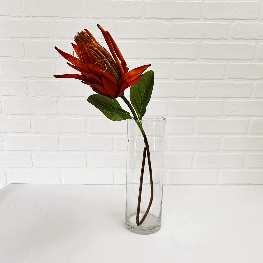 FLEUR DE PROTEA ORANGE