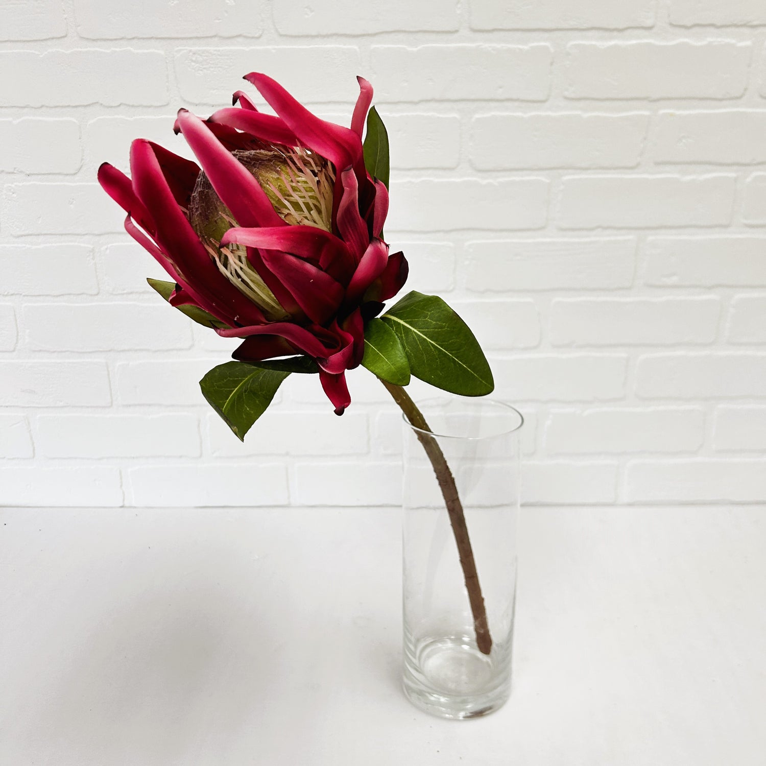 FLEUR DE PROTEA ROSE
