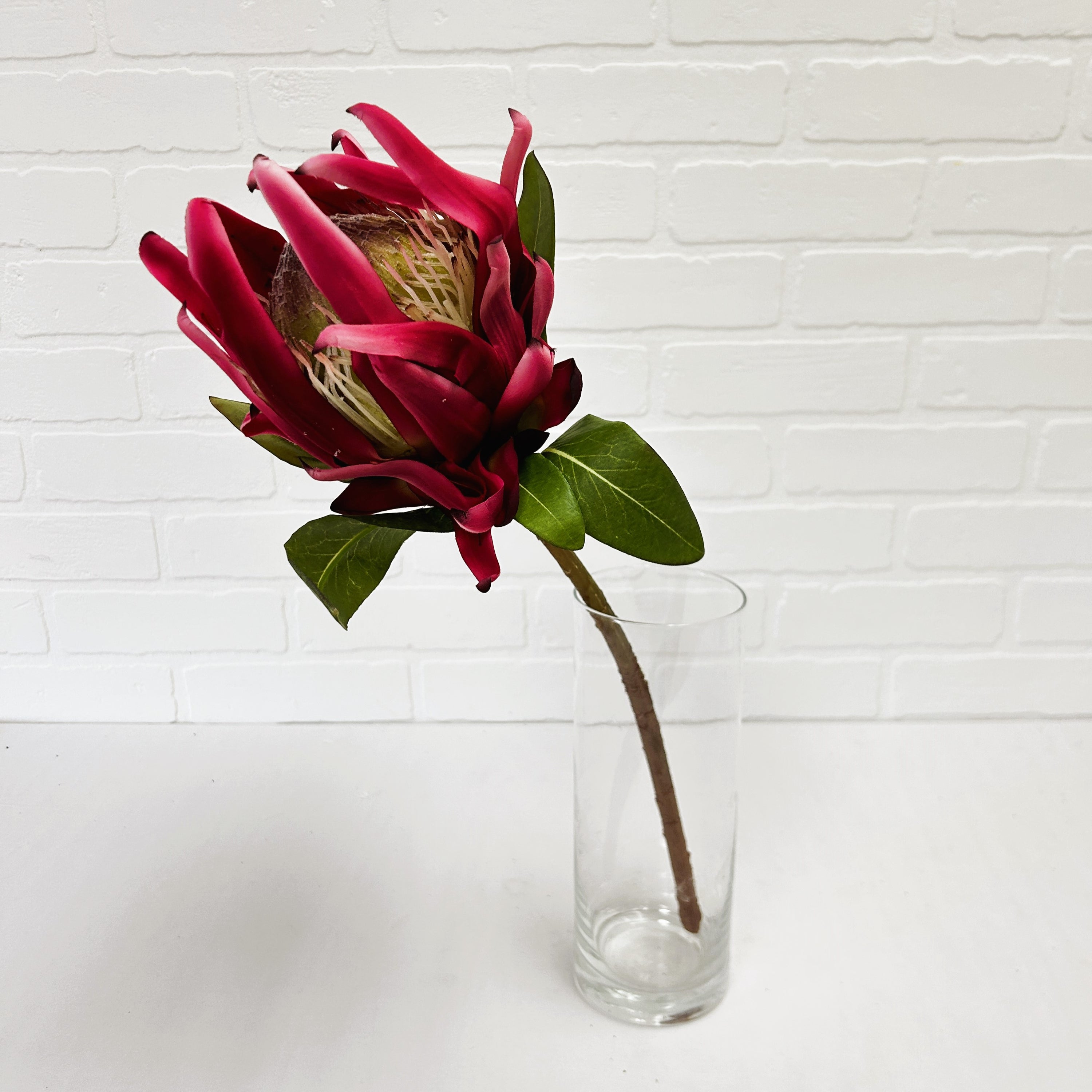FLEUR DE PROTEA ROSE
