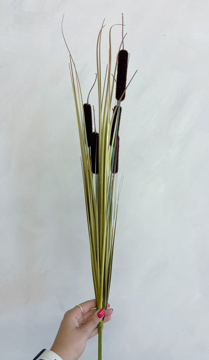 TIGE DE QUENOUILLES