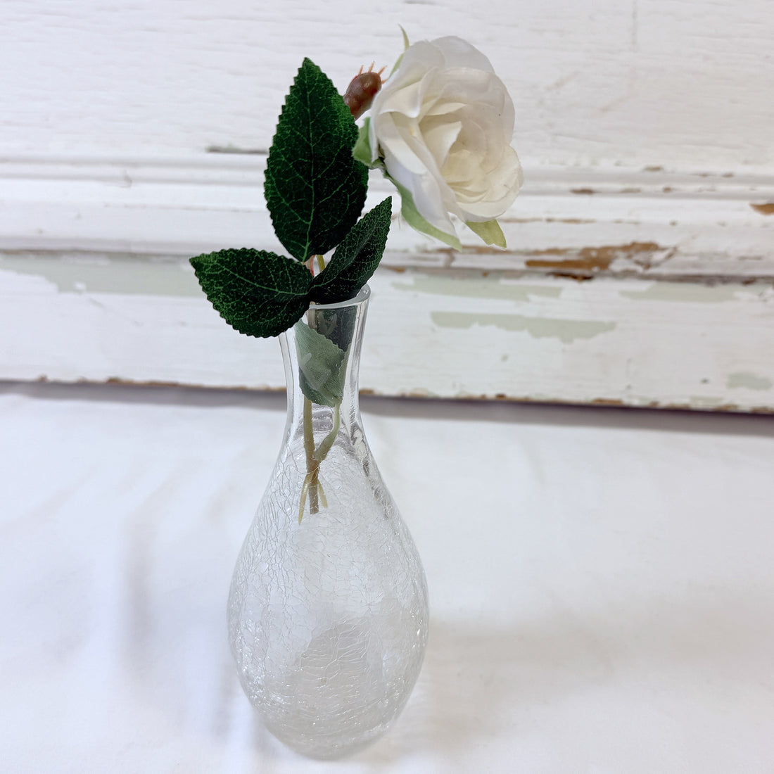 PETITES ROSES BLANCHES