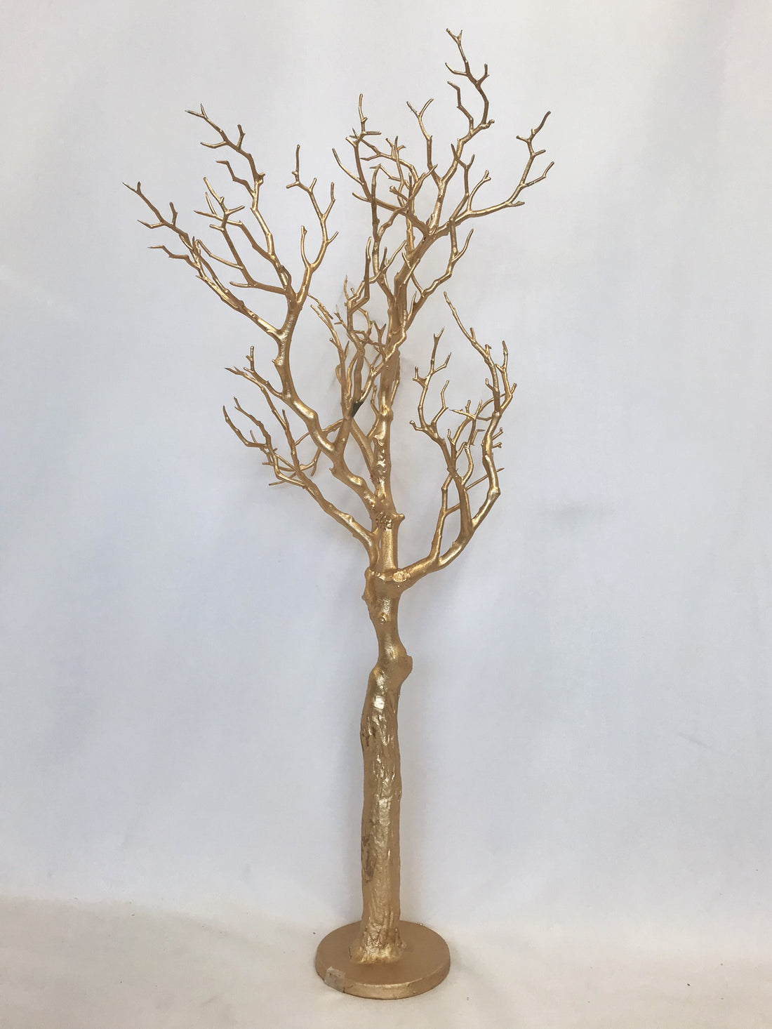 ARBRE DORÉ SUR PIED