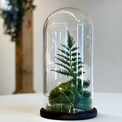 CLOCHE DE VERRE ET BASE EN BOIS BRUNE