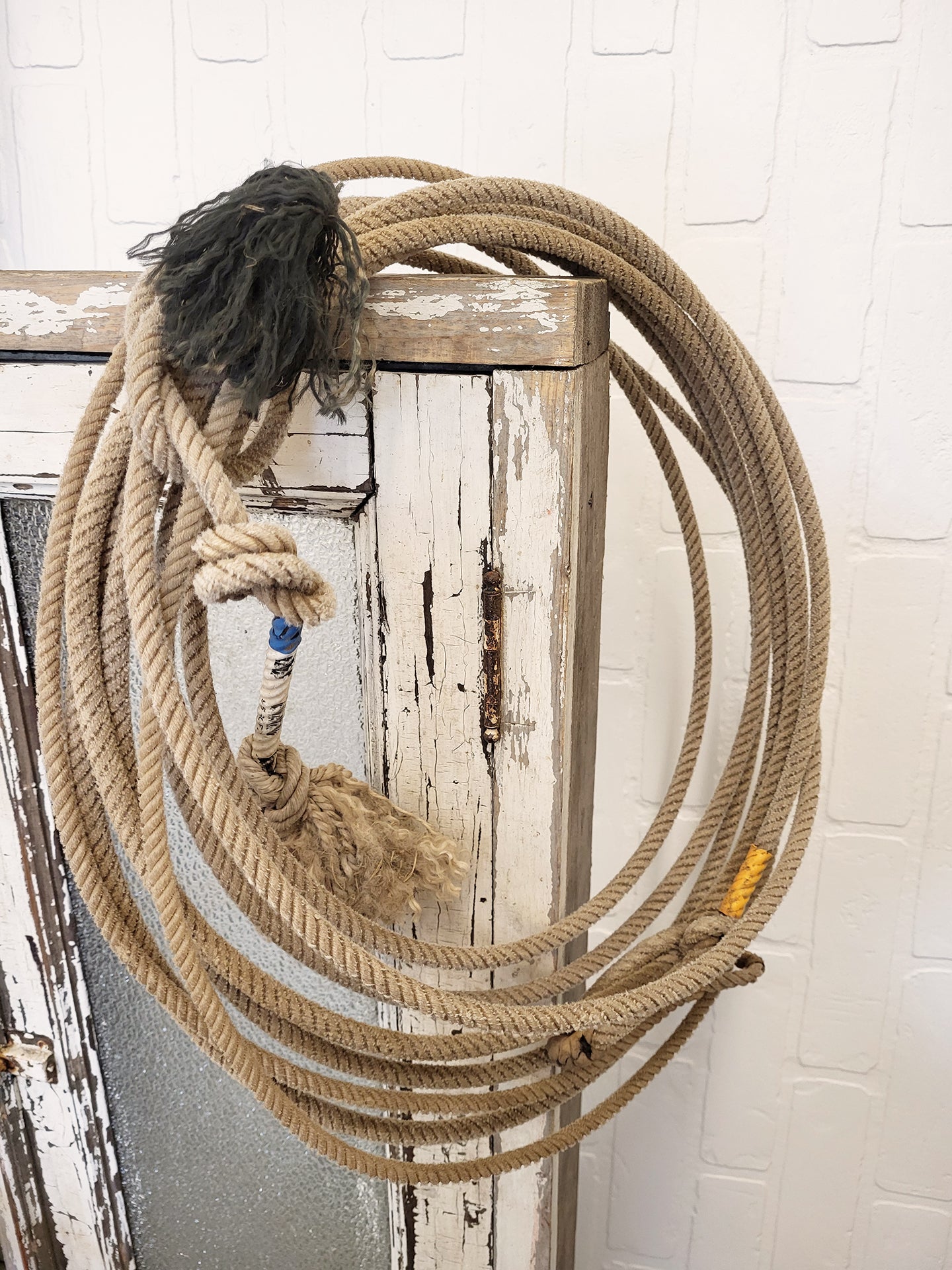 LASSO