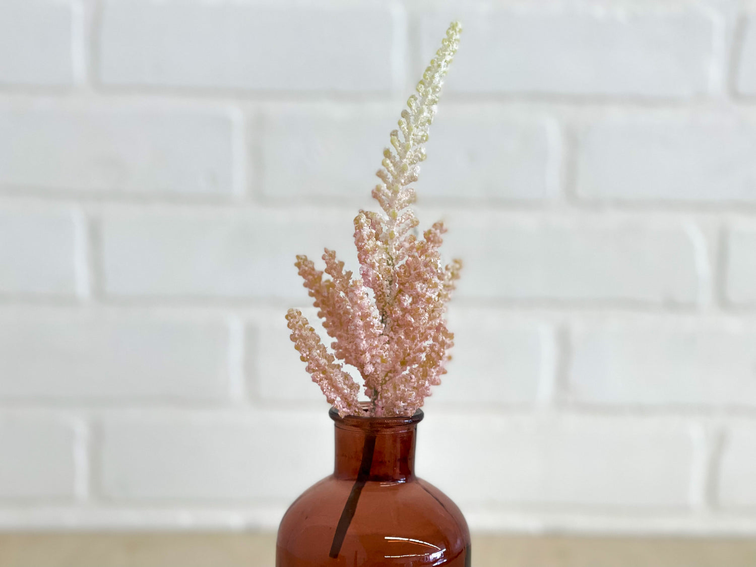 ASTILBES ROSES
