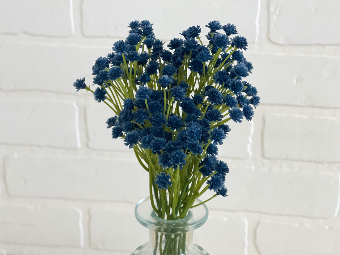 SOUPIRS DE BÉBÉ BLEUS
