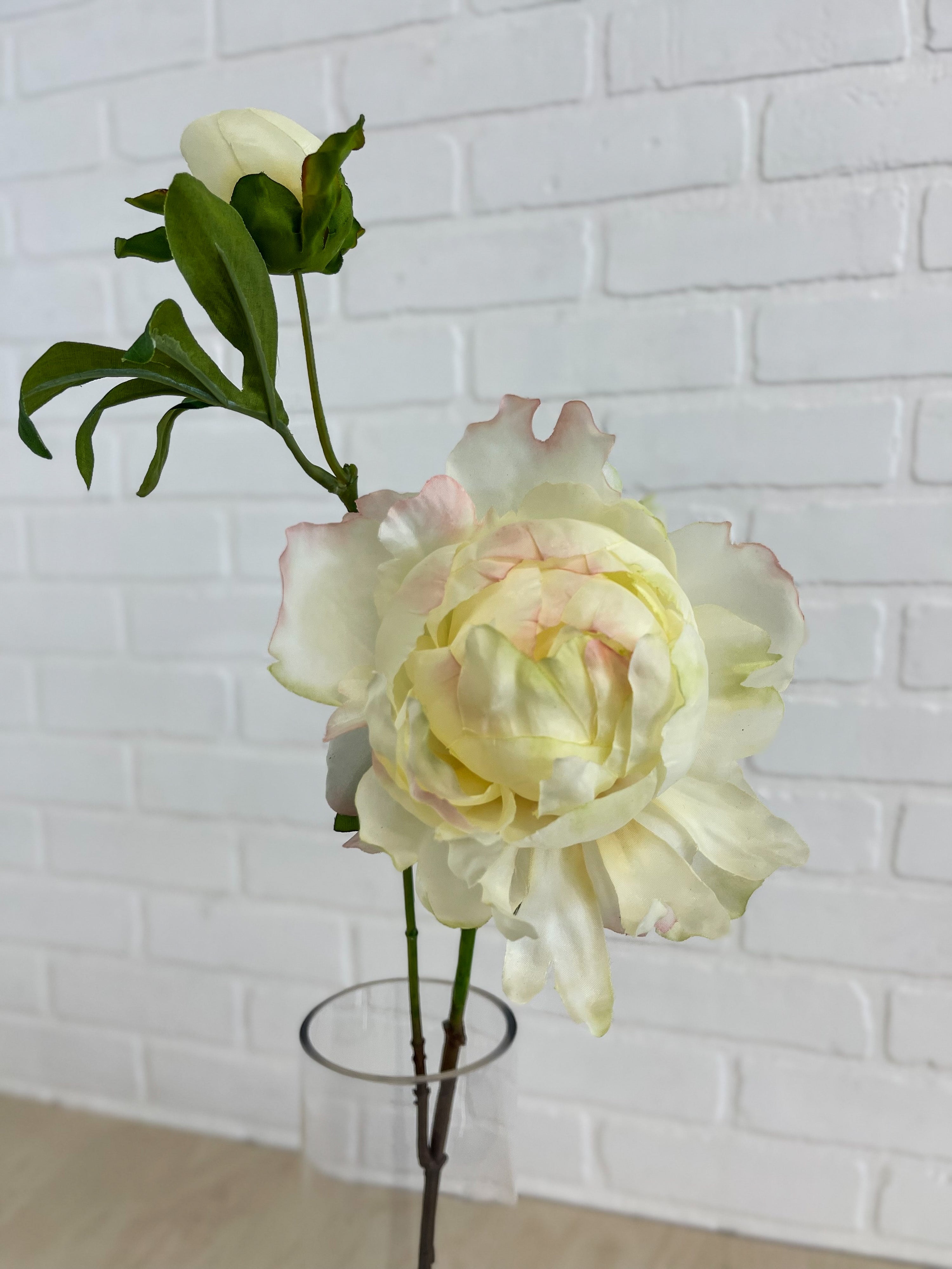 PIVOINE IVOIRE