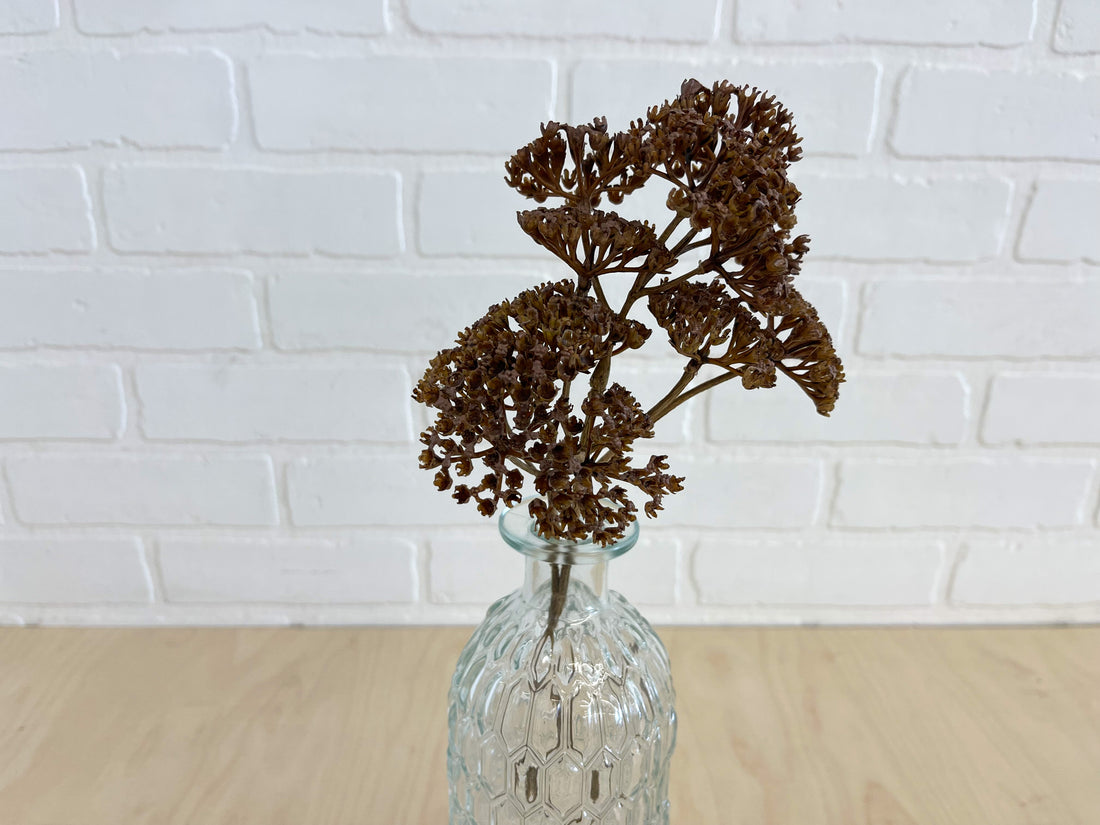 TIGE DE YARROW