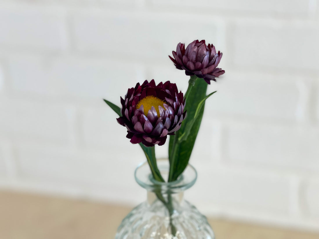 "STRAWFLOWER" PRUNE