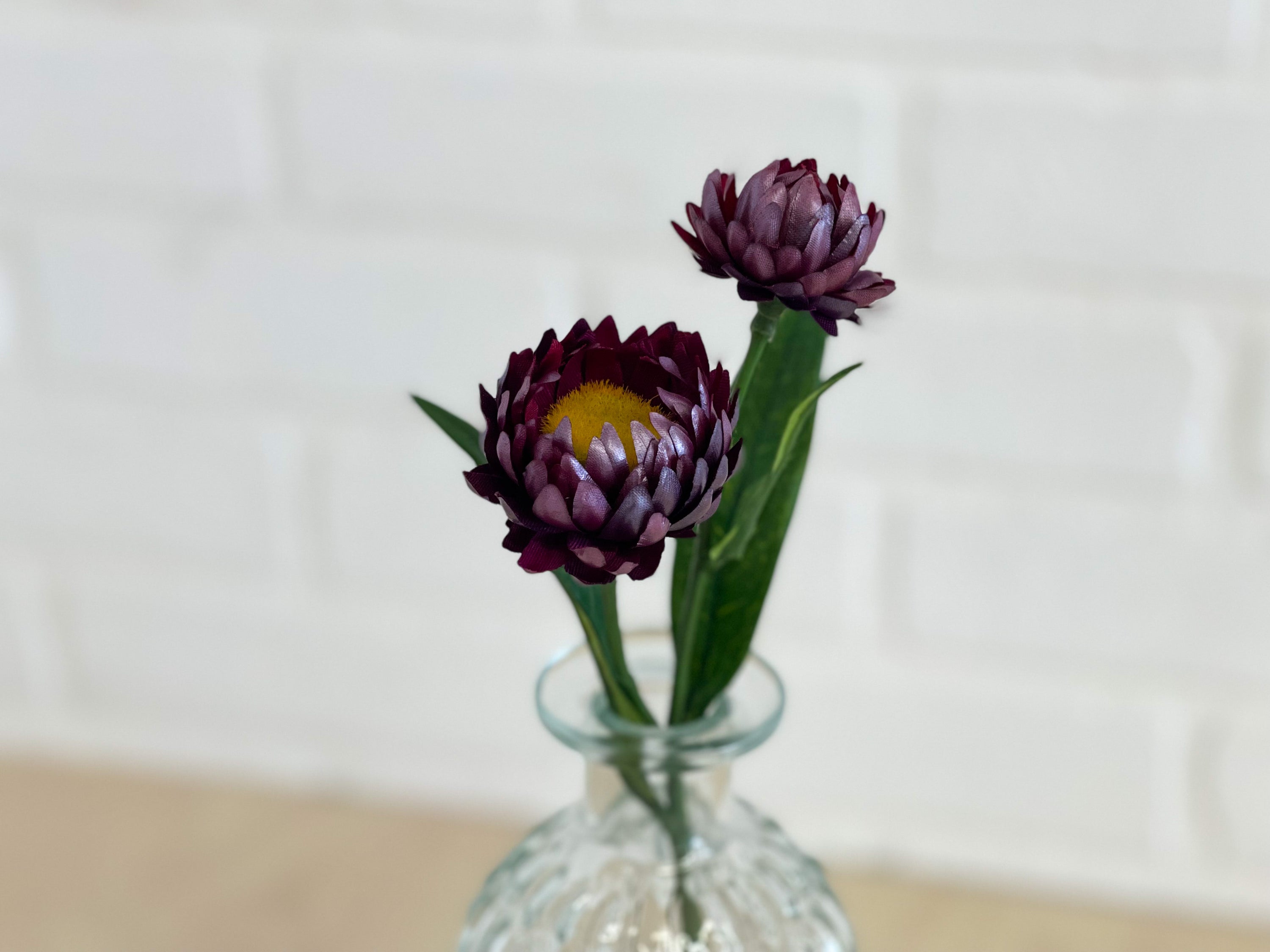 "STRAWFLOWER" PRUNE