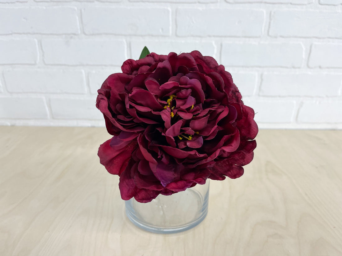 PIVOINE BOURGOGNE