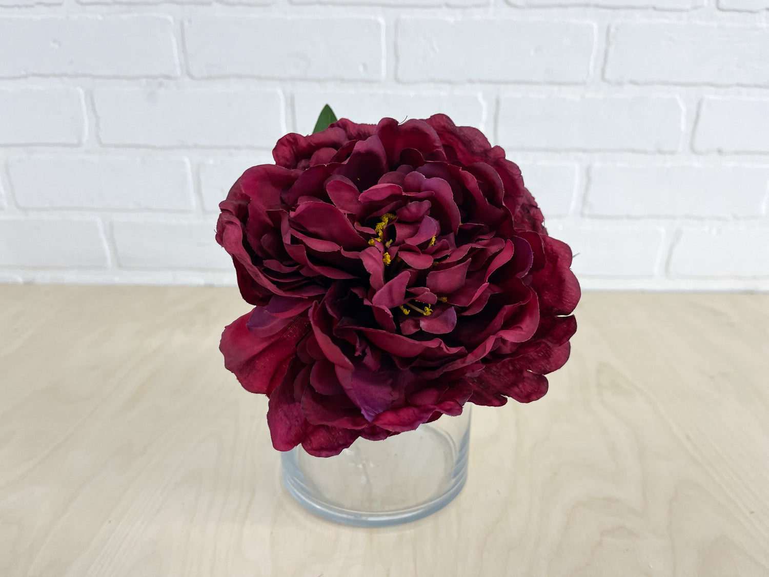 PIVOINE BOURGOGNE
