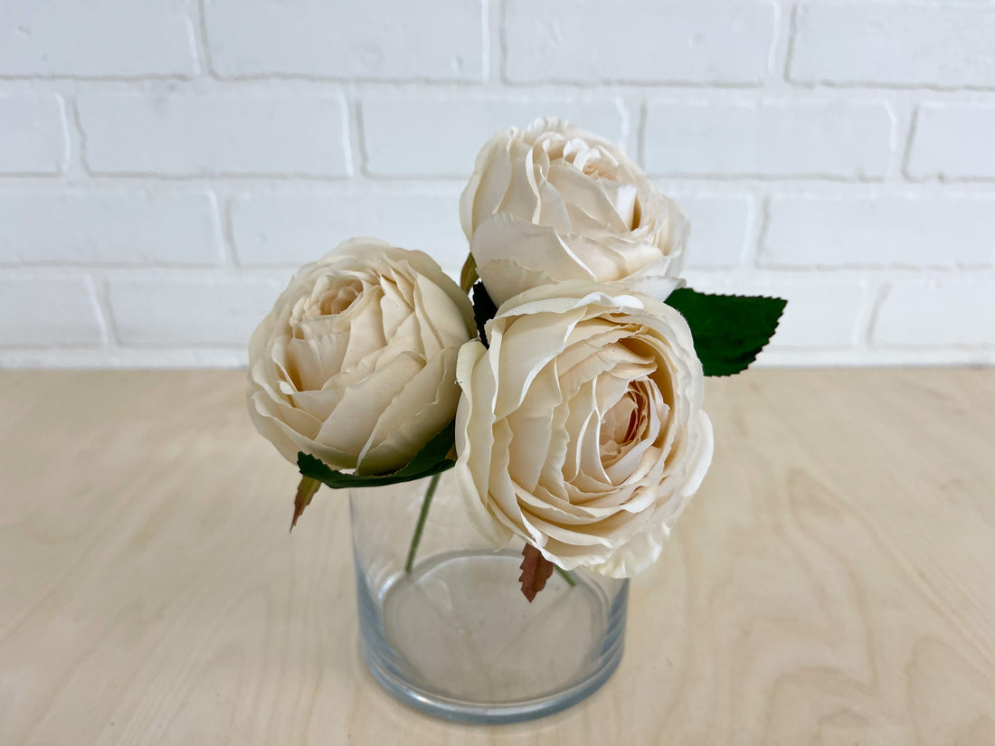 ROSE PIVOINE CRÈME