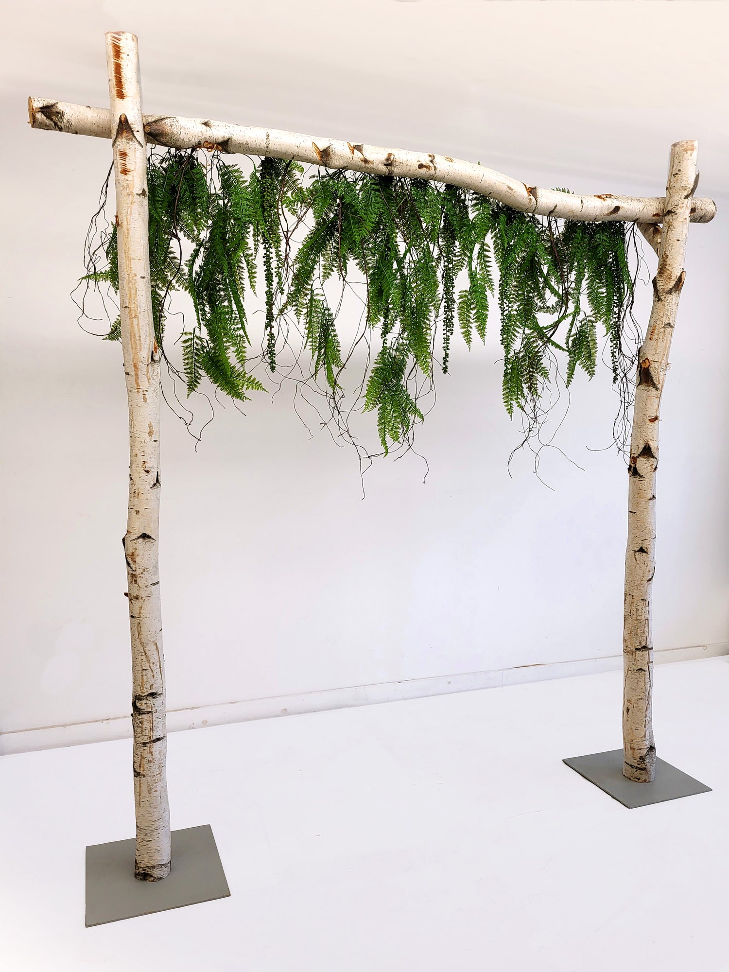 ARCHE DE BOULEAU - FORET ENCHANTÉE