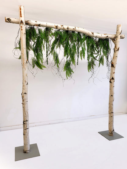 ARCHE DE BOULEAU - FORET ENCHANTÉE